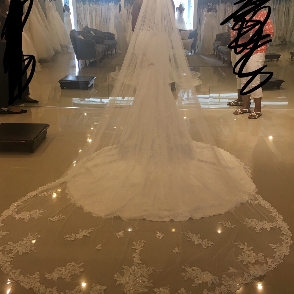 Pronovias Cathedral Veil